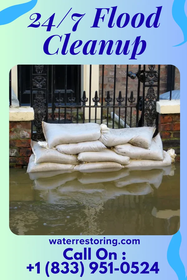 24/7 Flood Cleanup in Clio, MI