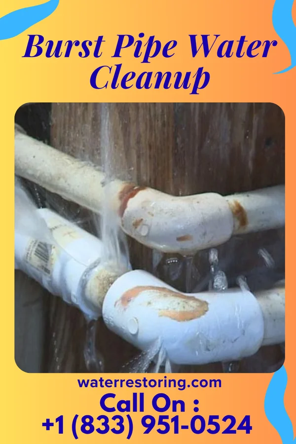 Burst Pipe Water Cleanup in Clio, MI
