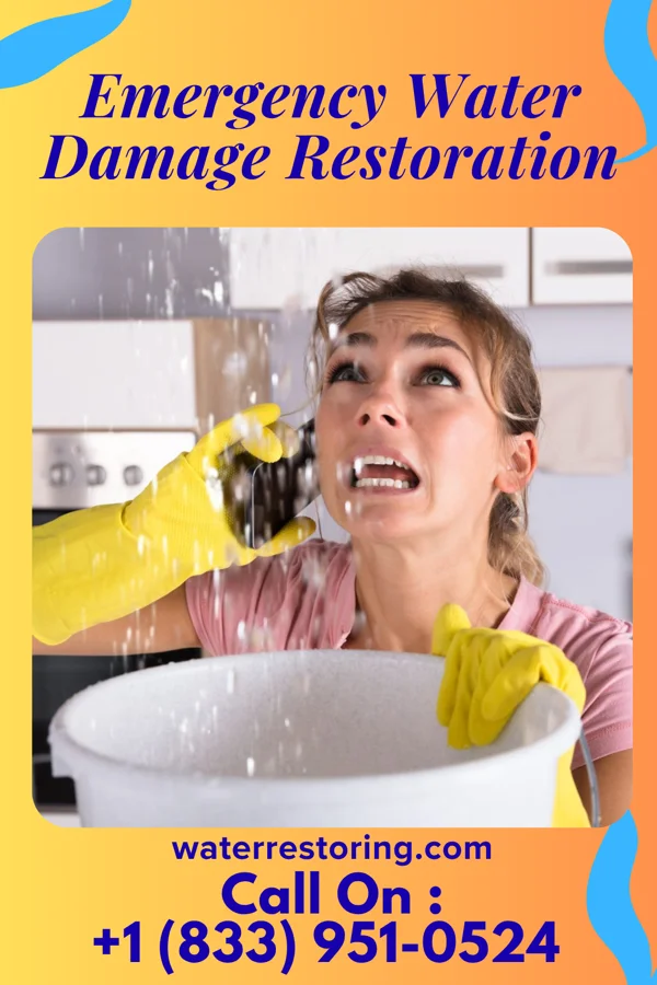 Emergency Water Damage Restoration in Clio, MI