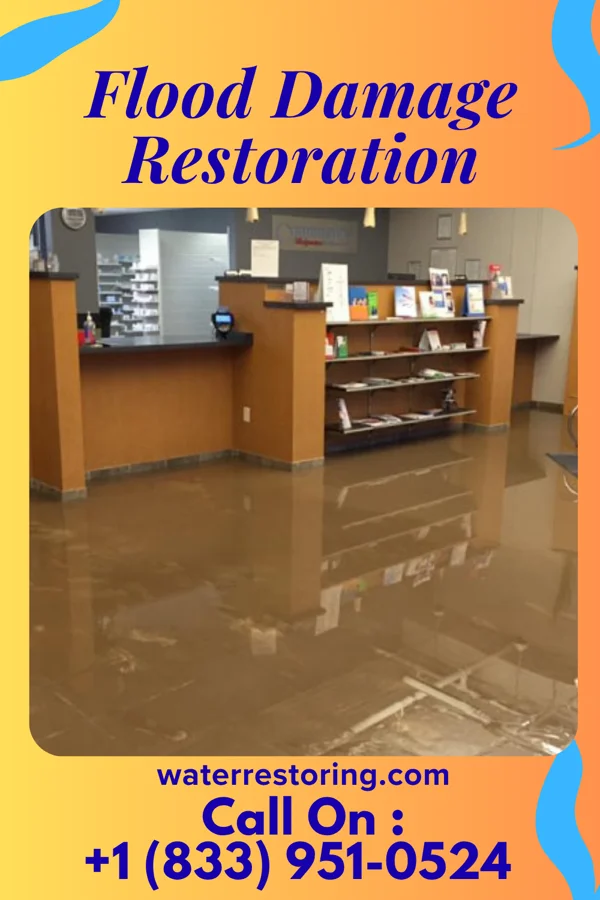 Flood Damage Restoration in Clio, MI