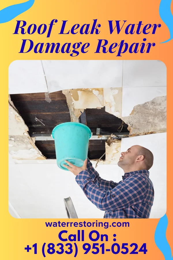 Roof Leak Water Damage Repair in Clio, MI