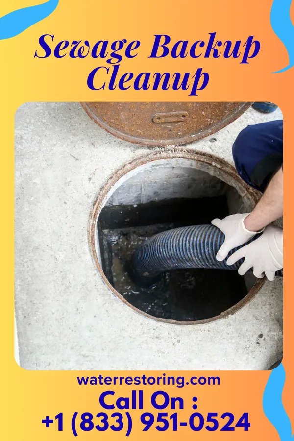 Sewage Backup Cleanup in Clio, MI