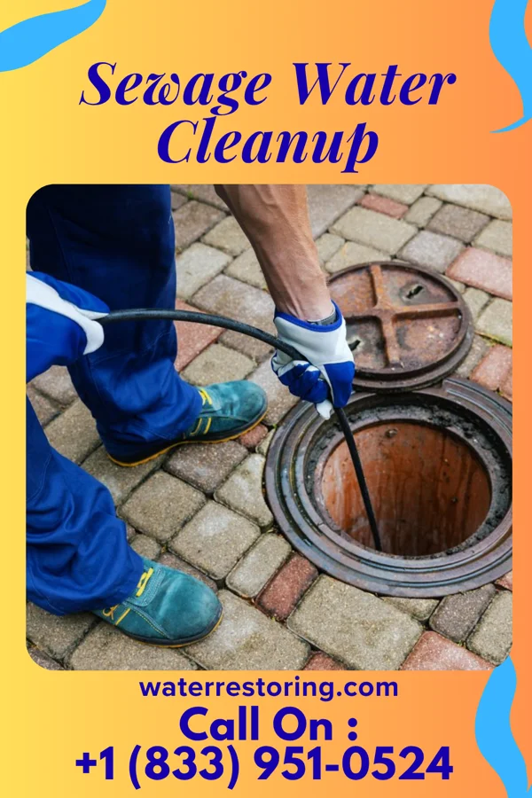 Sewage Water Cleanup in Clio, MI