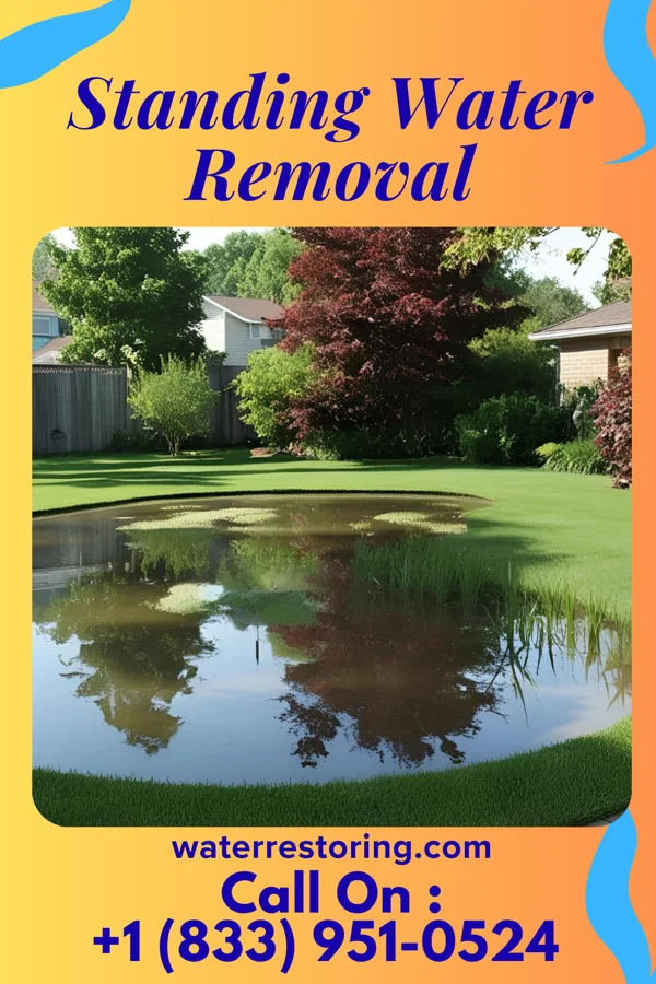 Standing Water Removal in Clio, MI
